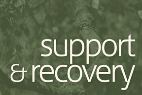 Care & Support