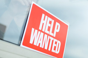 employment